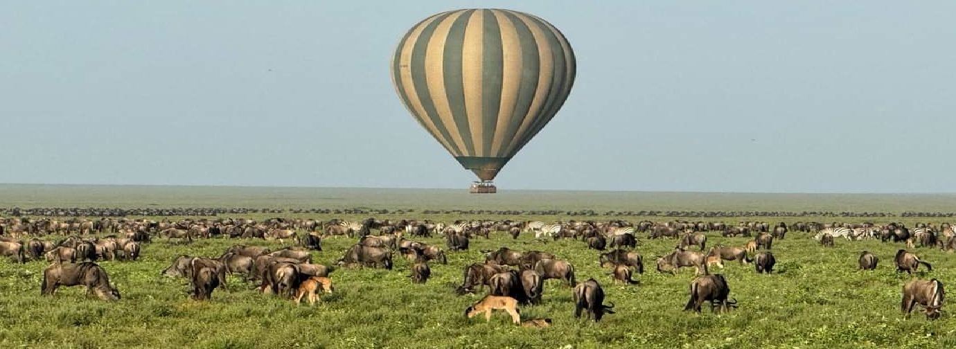 Serengeti Balloon Safari Tours 2024 - 2025