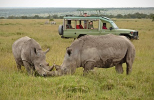 3-Day Tanzania Safari Tours & Packages 2024/2025