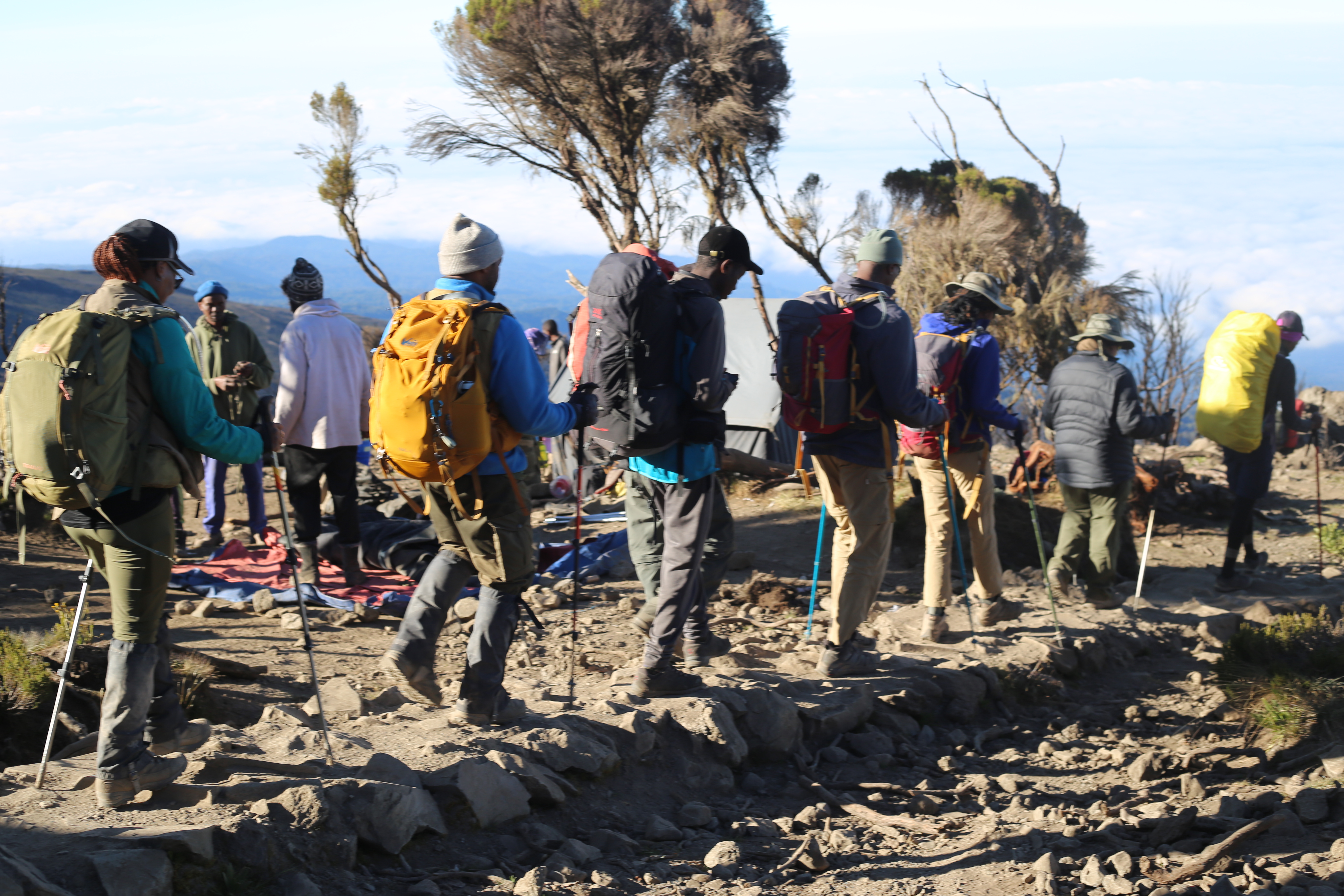 1-Day Kilimanjaro Climbing Tour Cost 2024/2025