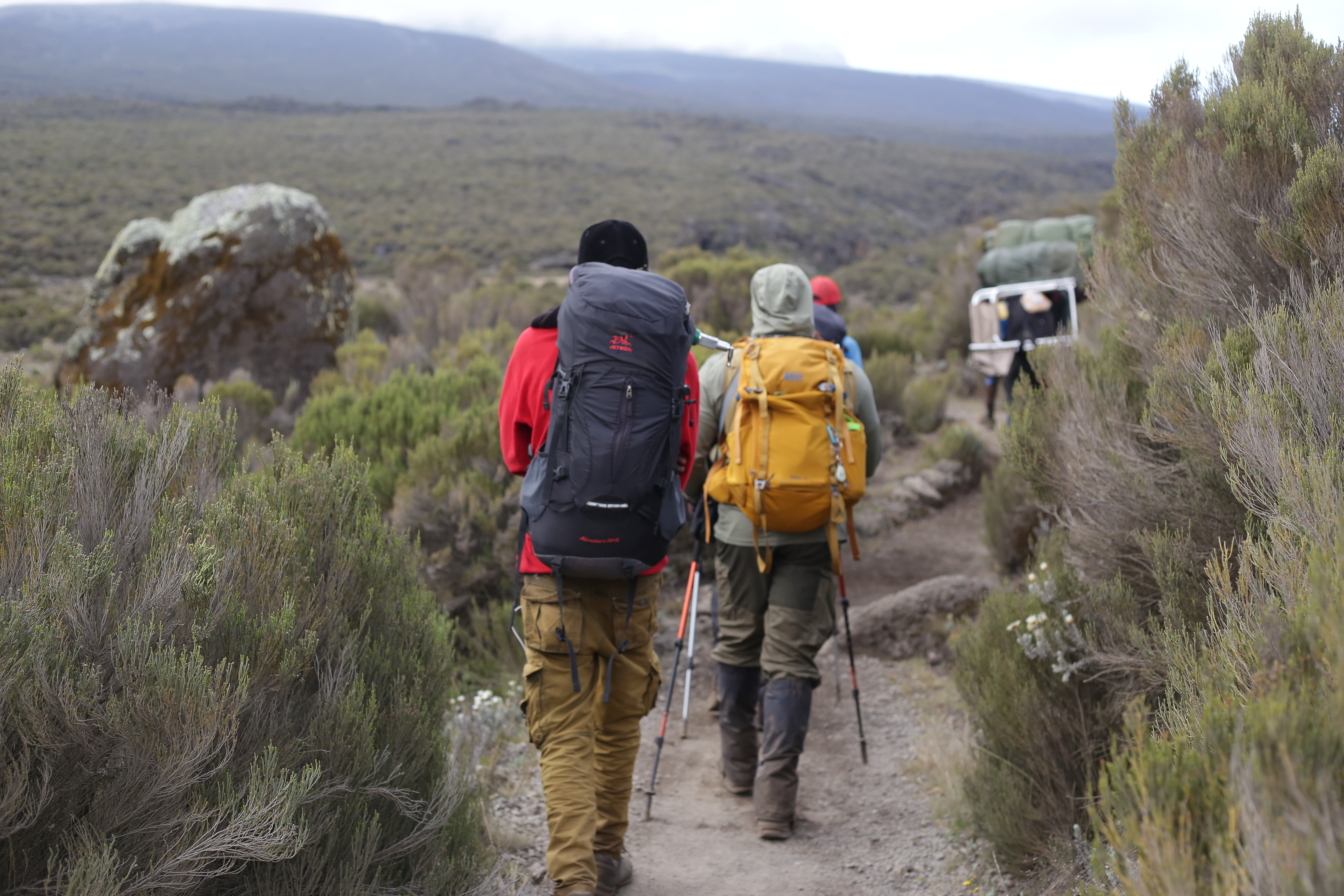 2-Day Kilimanjaro Climbing Tour Cost 2024/2025