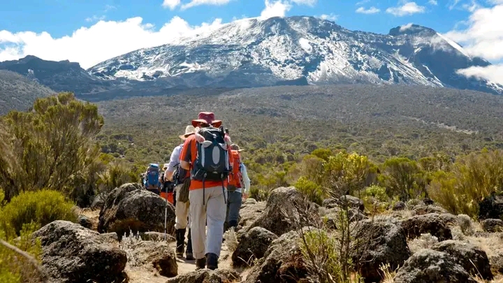 Top Best 6 Days Kilimanjaro Hiking Ticket via the Marangu Route