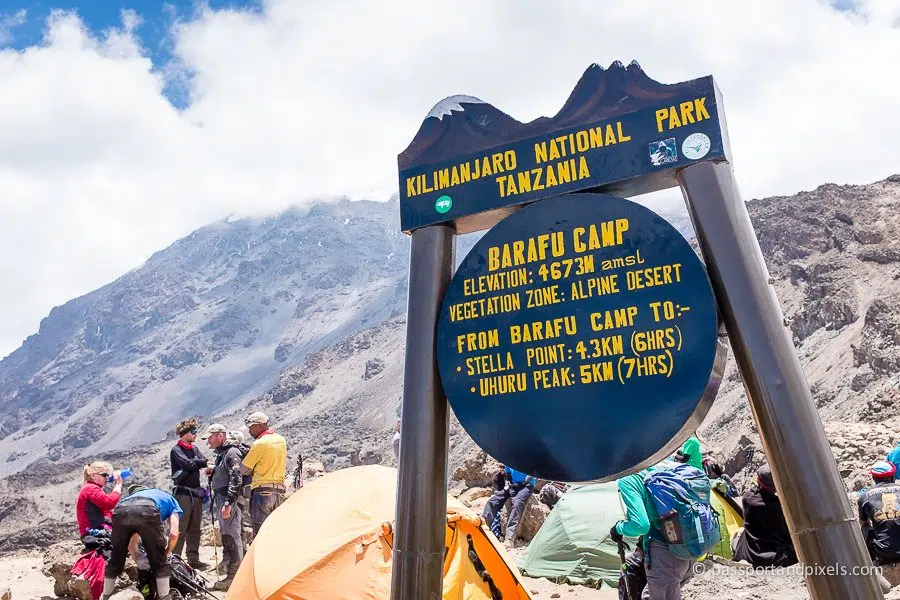 Day 4: Barranco Camp (3,900m/12,795ft) to Barafu Camp (4,673m/15,331ft) via Karanga Camp (3,995m/13,107ft)