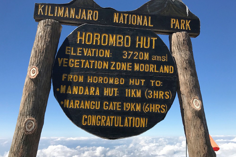 Day 2: Mandara Huts (2,700m/8,858ft) to Horombo Huts (3,720m/12,205ft)