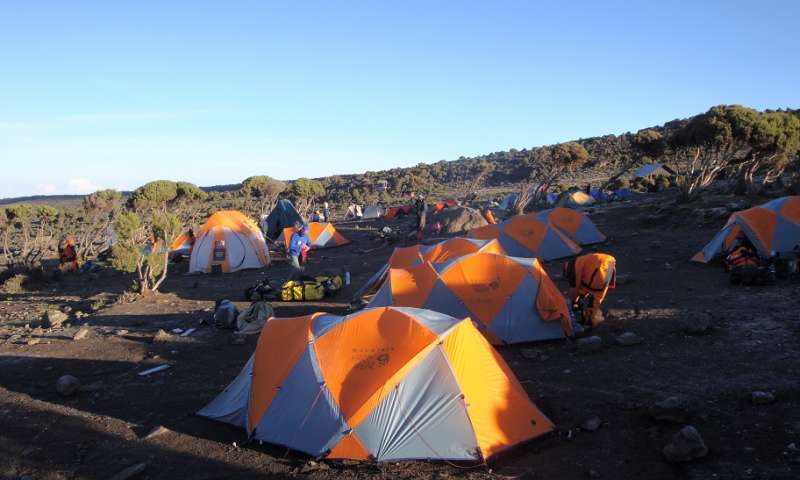 Kilimanjaro Camping Accommodation