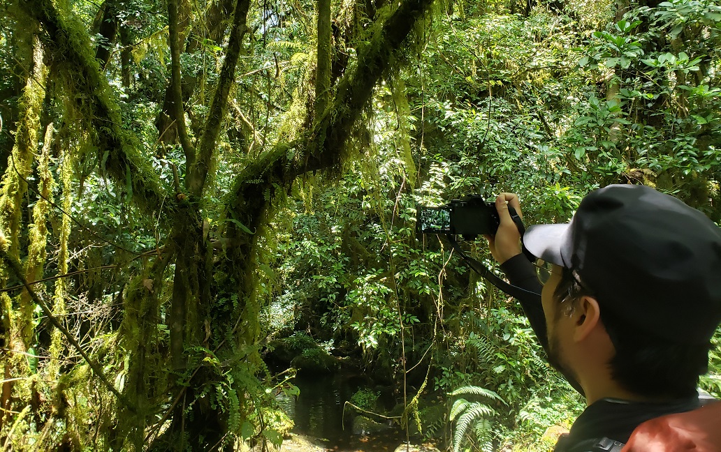 Wildlife and Nature on the Machame Route