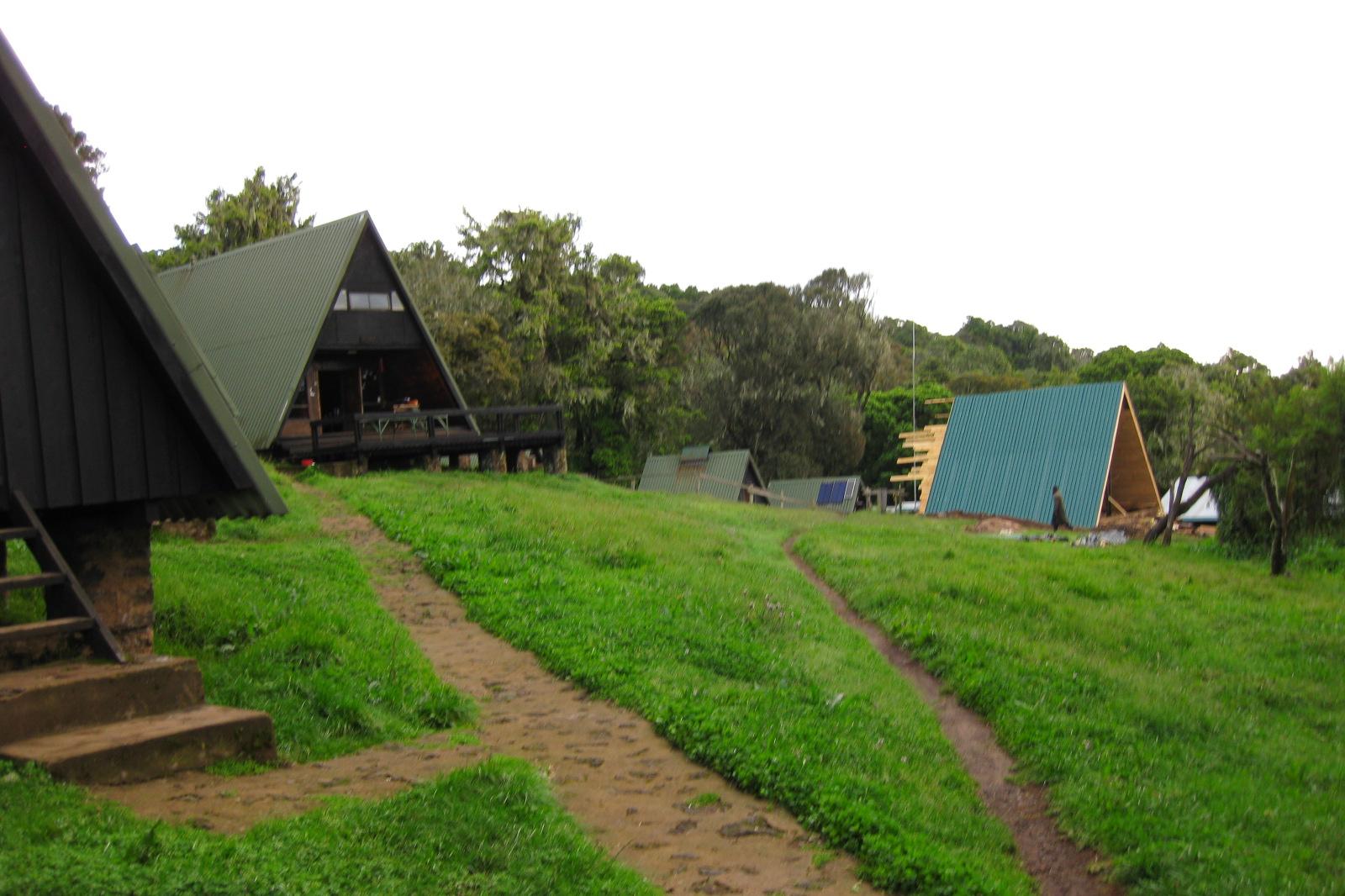 Wildlife and Scenery Along the Marangu Route