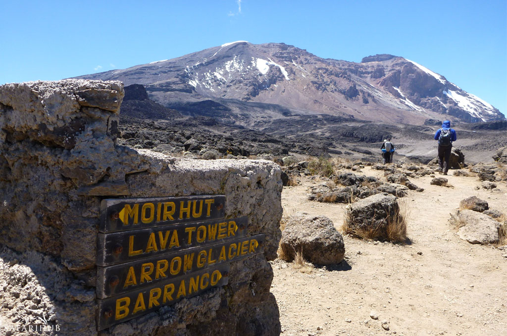 Day 3: Shira 1 Camp (3,610m/11,844ft) to Moir Huts Camp (4,161m/13,652ft)