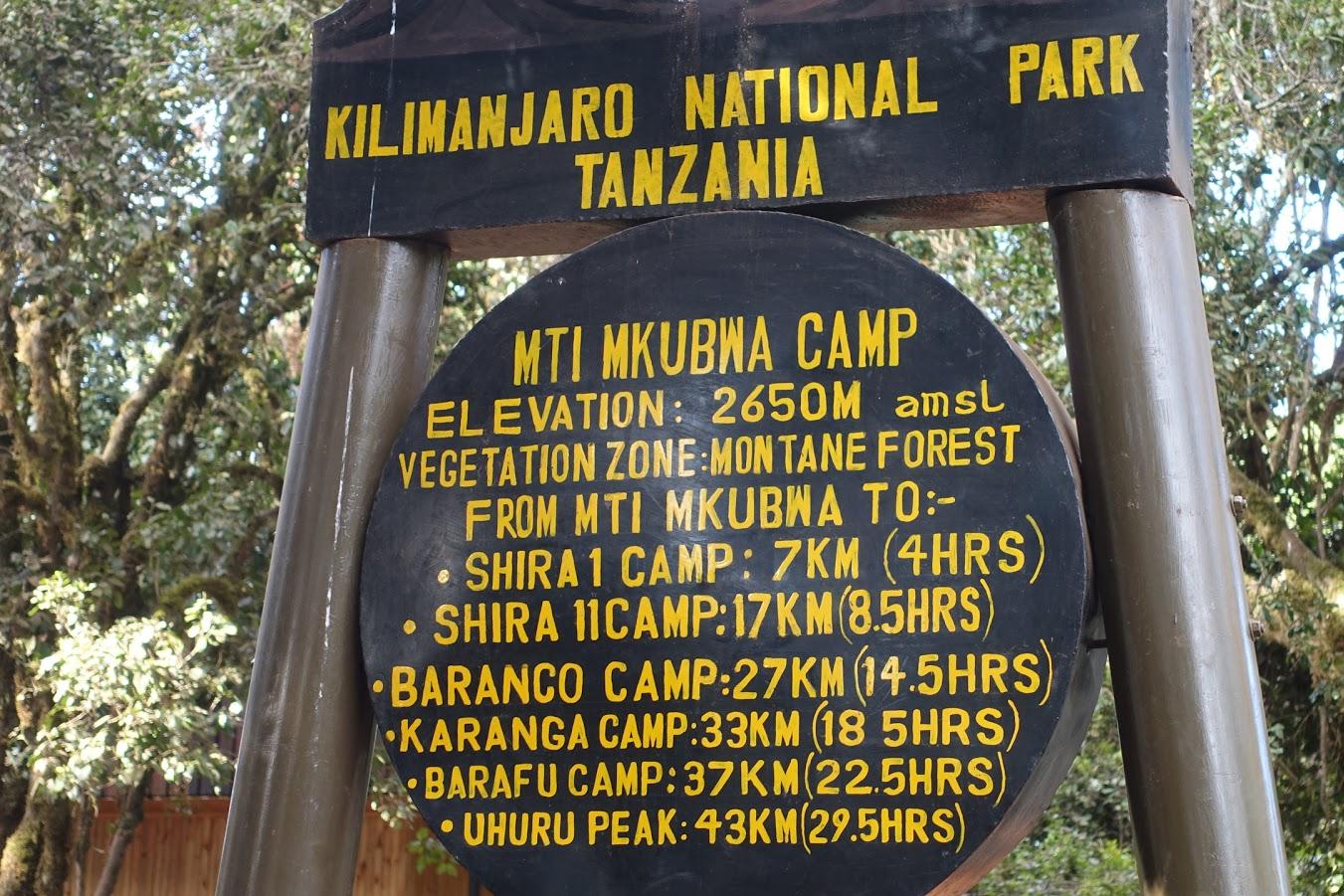 Day 1: Moshi (950m/3,117ft) to Lemosho Gate (2,100m/6,890ft) to Mti Mkubwa Camp (2,650m/8,694ft)