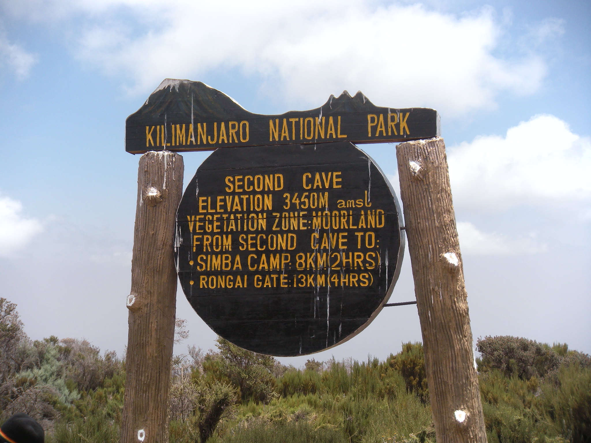 Day 2: Simba Camp (2,671m/8,763ft) to Second Cave Camp (3,450m/11,319ft)