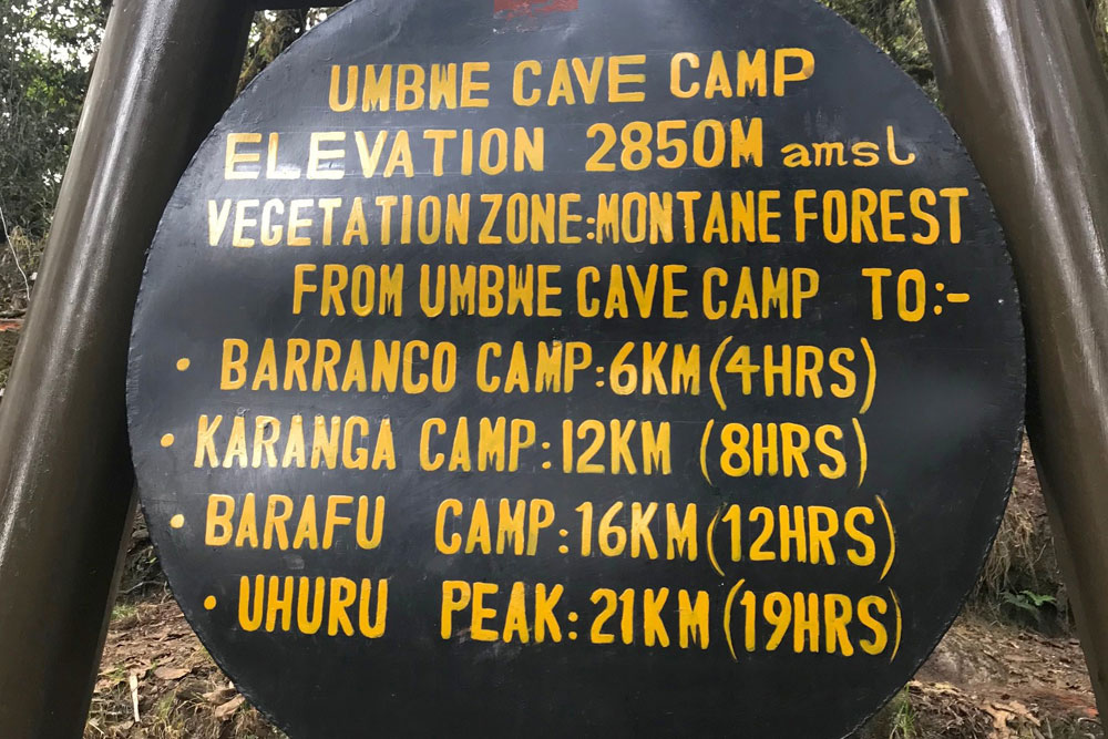 Day 1: Moshi (950m/3,117ft) to Umbwe Gate (1,800m/5,906ft) to Umbwe Cave Camp (2,850m/9,350ft)