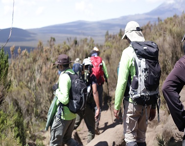 Kilimanjaro Umbwe Route