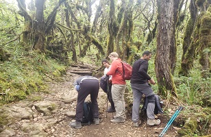 1-Day Marangu Route Kilimanjaro Day Hike Tour 2024/2025