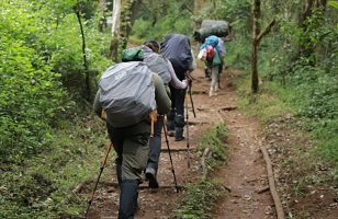 5 Days Marangu Route Kilimanjaro Hiking Tour 2024/2025