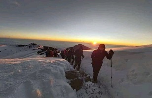 Kilimanjaro Climbing Success Rate