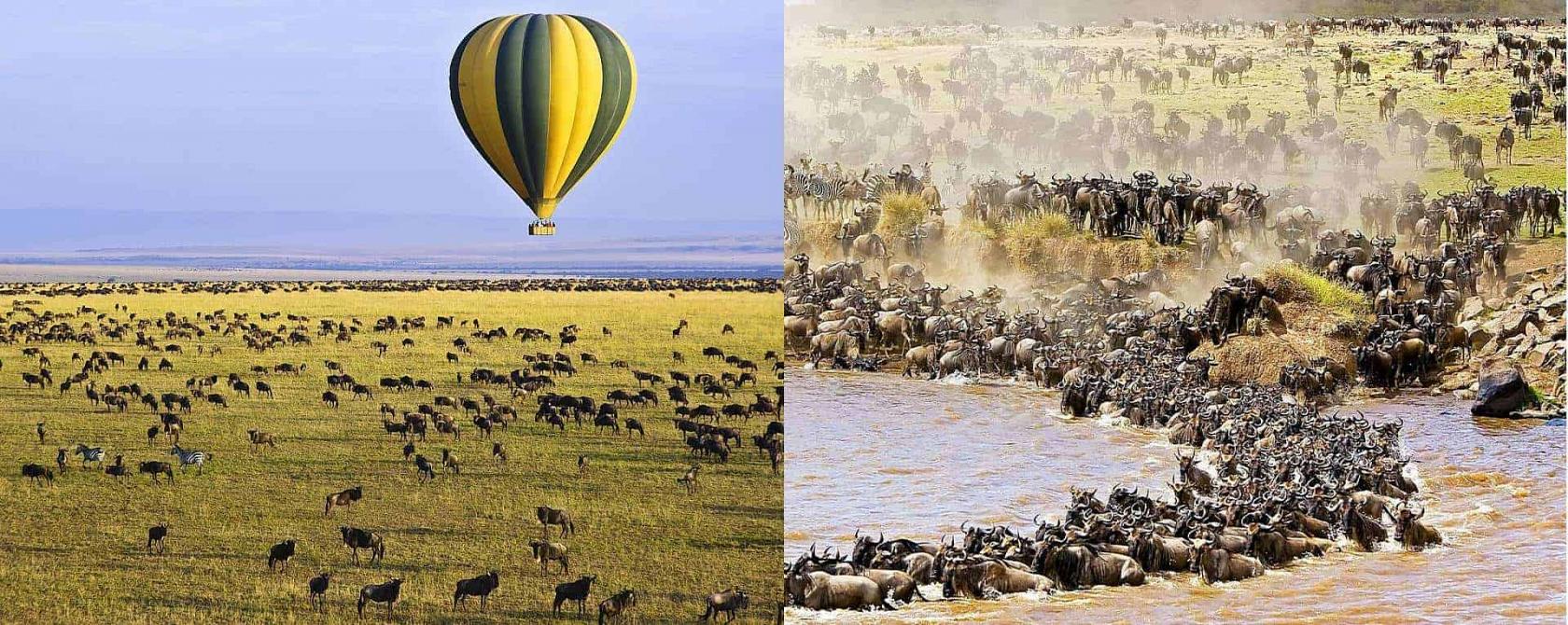 Private Balloon Safari Tours: Tanzania, Africa