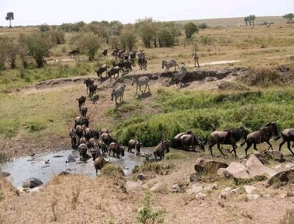 Tanzania Luxury Lodge safari Tour Photos