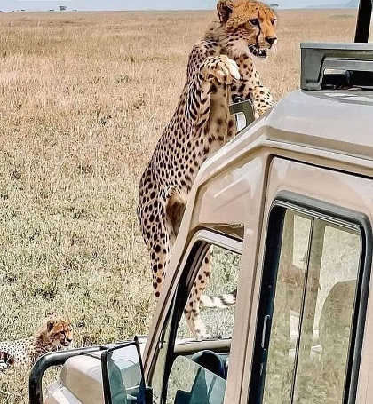 Tanzania Safari Trips