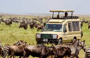 2-Day Mid-range Safari Tanzania: Lake Manyara – Ngorongoro Crater Package