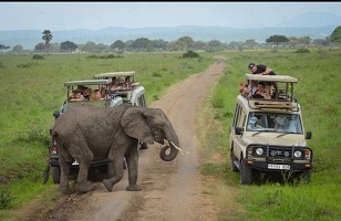 5 Days Tarangire, Serengeti, Ngorongoro - Lake Manyara: Tanzania Group Joining Safari 2025/2026