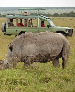 Ngorongoro Crater | Tanzania Safari