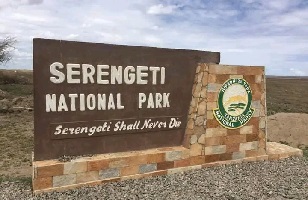 Serengeti National Park | Tanzania Safari