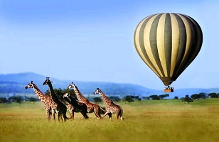 Tanzania Balloon Safaris