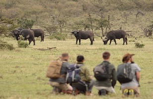 Tanzania Walking Safaris