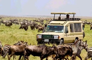 7-Day Serengeti Migration Safari