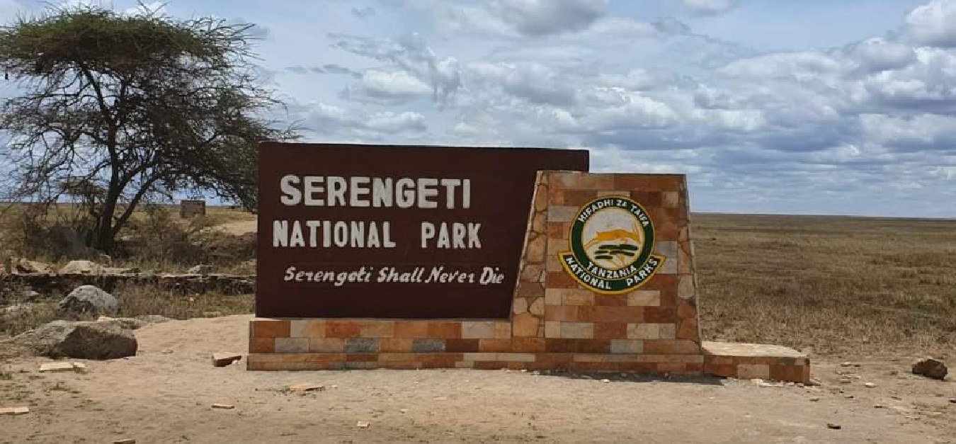 Planning For Serengeti Safari