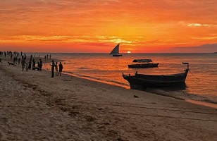 Best 8-Day Zanzibar Tour Package with Price from $50 for 2024/2025